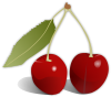 Provence Cherry